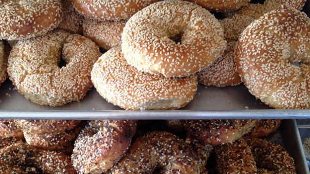 philly bagels 1